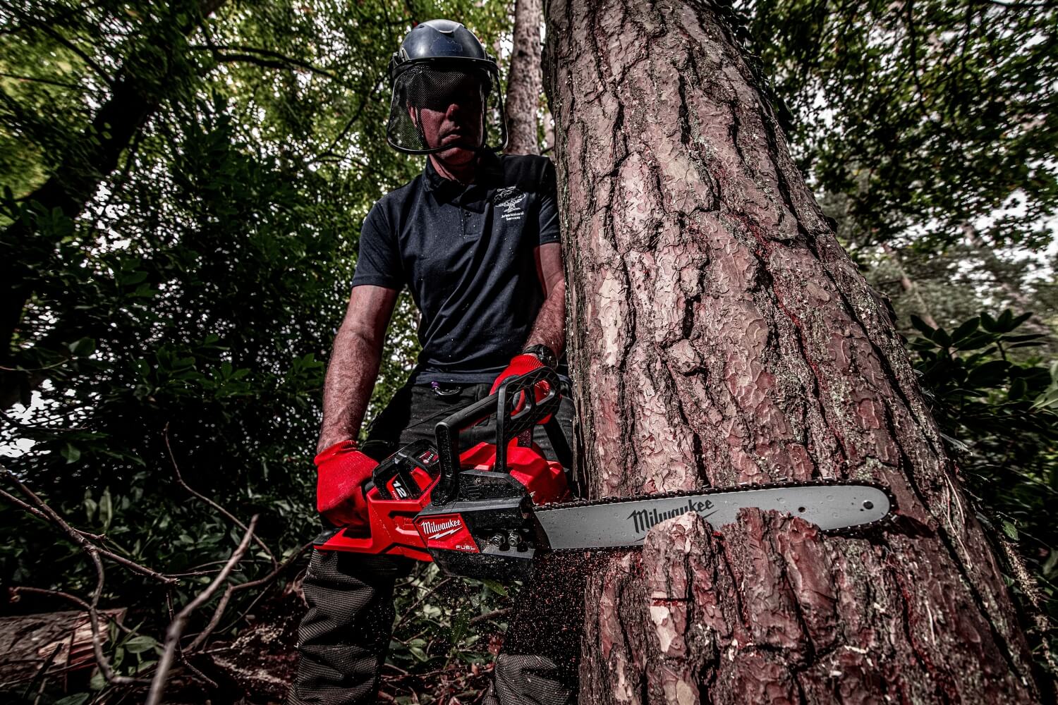 Kettingzaag kopen? - m18_fchs-121--app_4